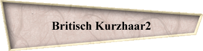 Britisch Kurzhaar2