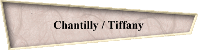 Chantilly / Tiffany
