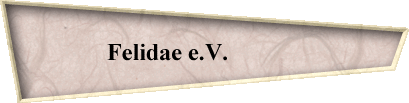 Felidae e.V.            