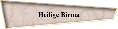 Heilige Birma