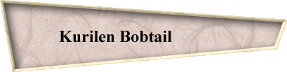 Kurilen Bobtail             