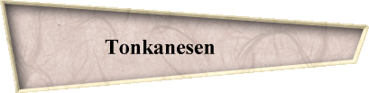 Tonkanesen         