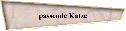 passende Katze